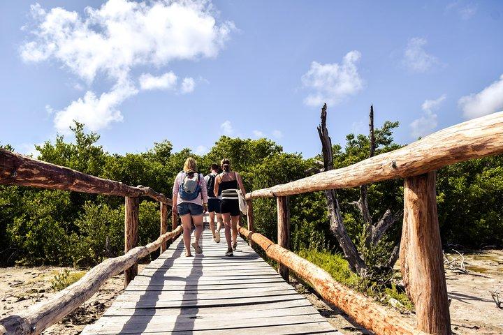 Tour in bici elettrica di Punta Sur Eco Beach Park a Cozumel