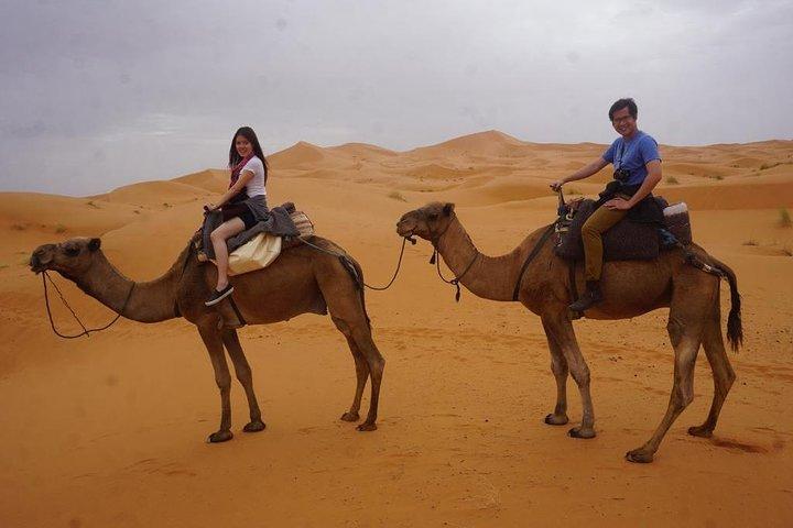 Noite de luxo no deserto de Merzouga com ar condicionado, jeep, passeio de camelo