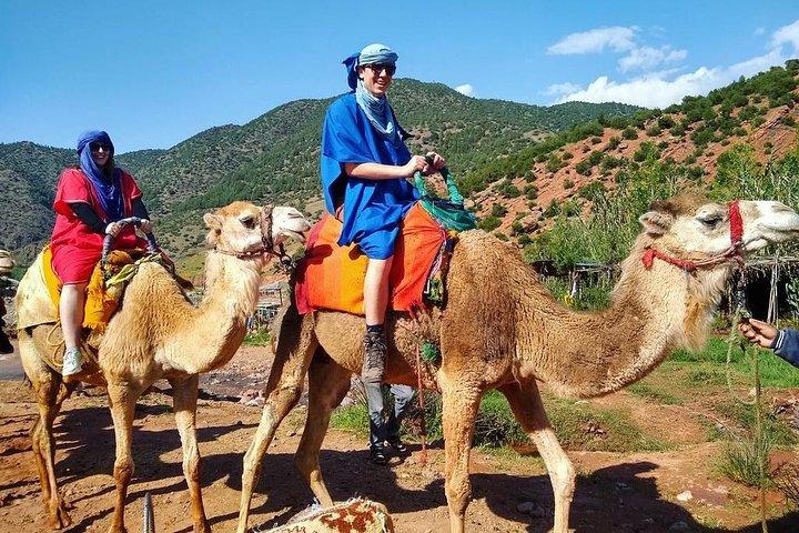 From Marrakech: Atlas Mountains and Berber Villages Day Trip