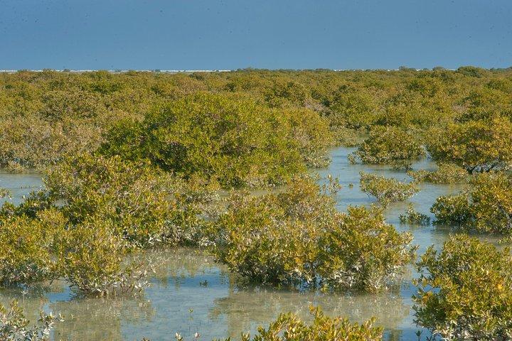 北カタールツアー|ズバラ砦|パープルアイランド|マングロス植民地