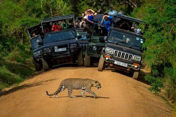 Yala National Park (dagstur)