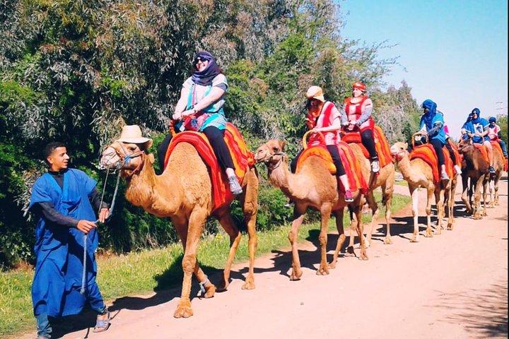 Excursión de un día a las montañas del Atlas por los 5 valles desde Marrakech con paseo en camello