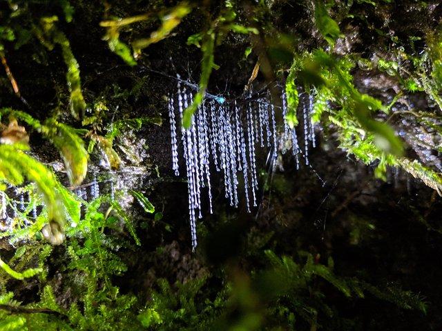 Aventure nocturne Tournée lumineuse