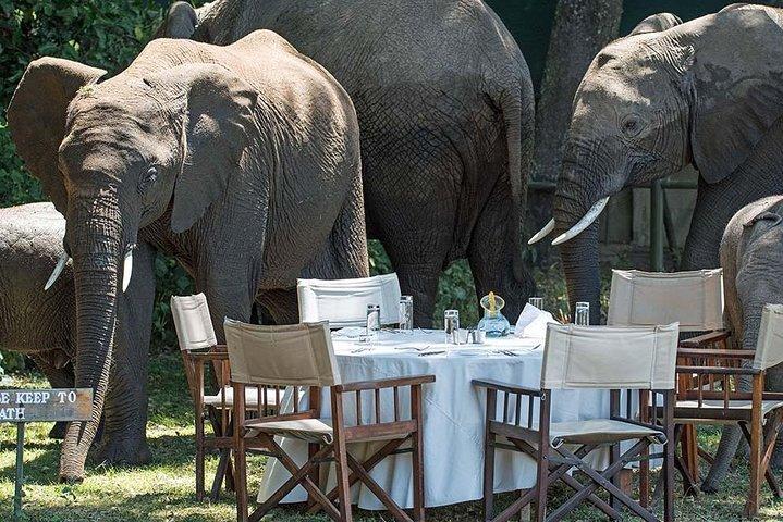 12 Days Honeymoon safari in Kenya