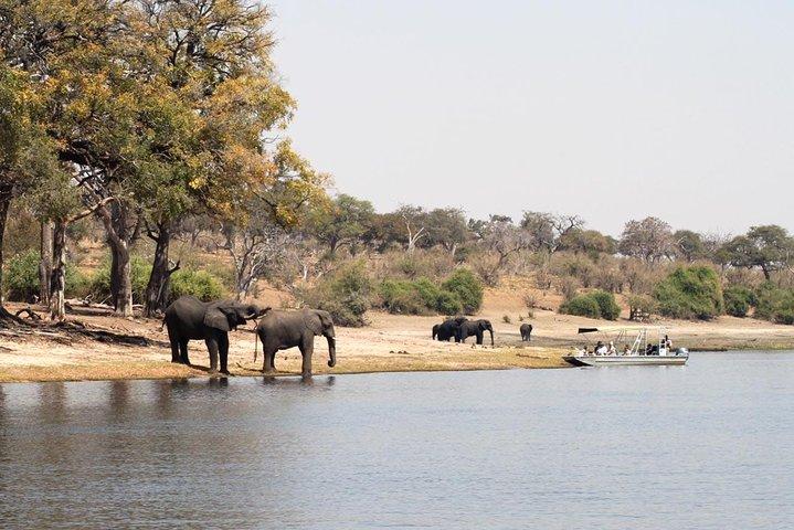 Chobe Day Trip från Victoria Falls