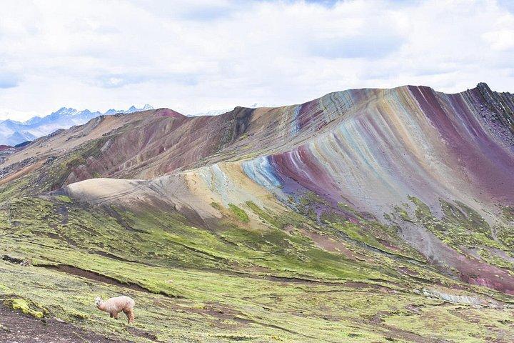 Rainbow Mountain Tour Easy Option full Day - Palccoyo