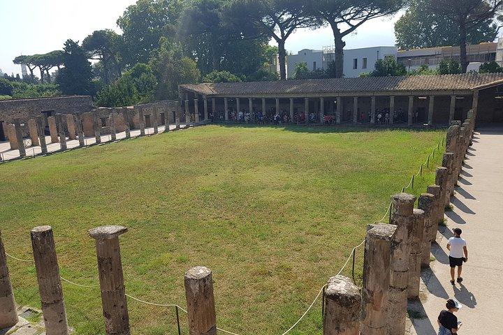 Visite privée d'une journée à Pompéi et Naples au départ de Rome avec billets d'entrée