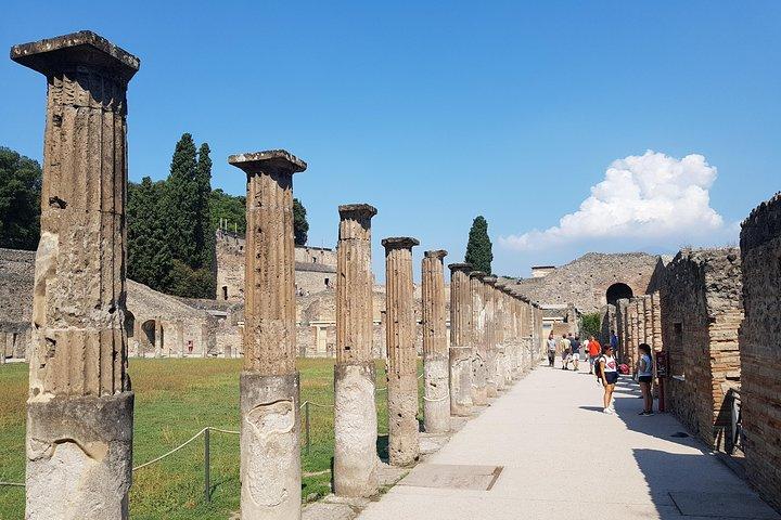 Visite privée d'une journée à Pompéi et Naples au départ de Rome avec billets d'entrée
