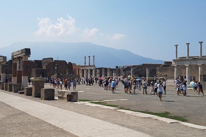 Visite privée d'une journée à Pompéi et Naples au départ de Rome avec billets d'entrée