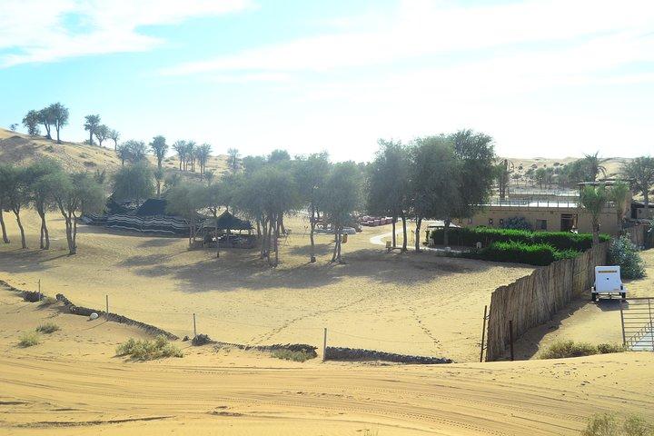 Ras Al Khaimah: Safári no Deserto à Tarde e Jantar com Churrasco