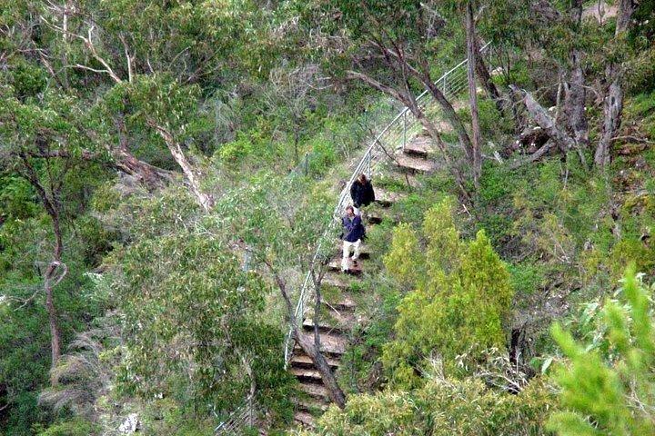 Grampians & Halls Gap