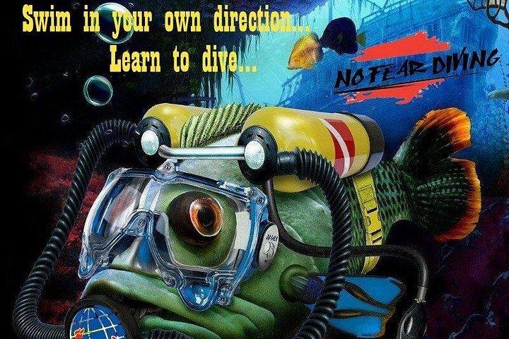 Padi Opdag dykning i Amed Bali
