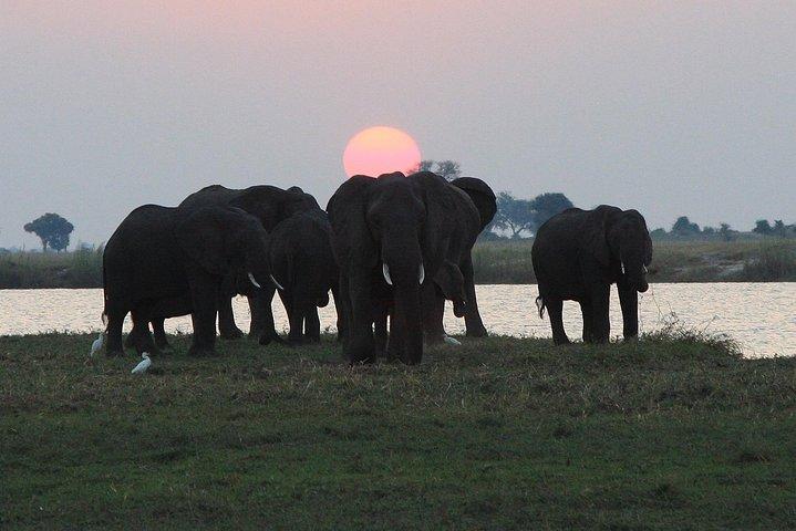 Chobe 3 Stunden Sonnenuntergang Bootsfahrt