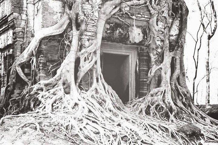 バスまたは 4WD - 2 D、1 N Siem Reap / Koh Ker / Tbeng Meachey / Loas 国境