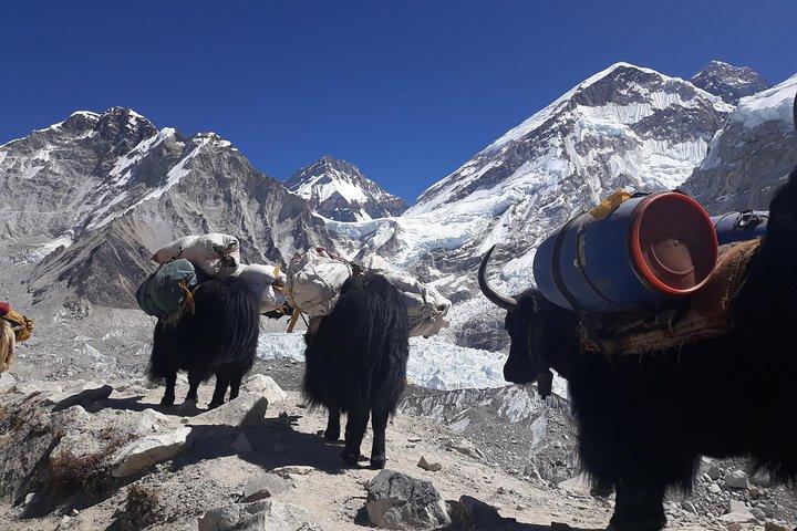 Spedizione di Nuptse