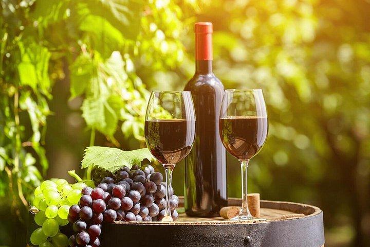 Discover Wine Tasting Lebanese Tour Experience