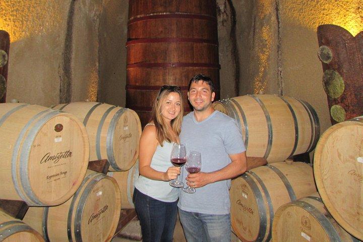 Visite privée de 8 heures de vin personnalisé jusqu'à 7 invités Napa & Sonoma