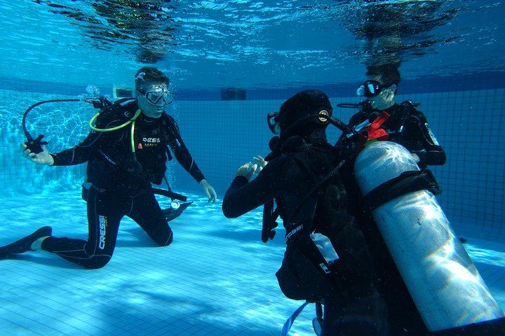 Discover Scuba Diving Course in Playa del Carmen with Two Coral Reef Dives