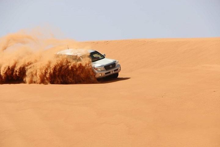 Safari privato 4x4 nel deserto - Veicolo esclusivo