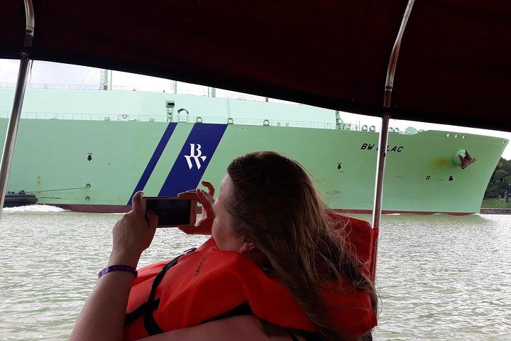 Panama City, Aventura en el Lago Gatún: Isla de los Monos