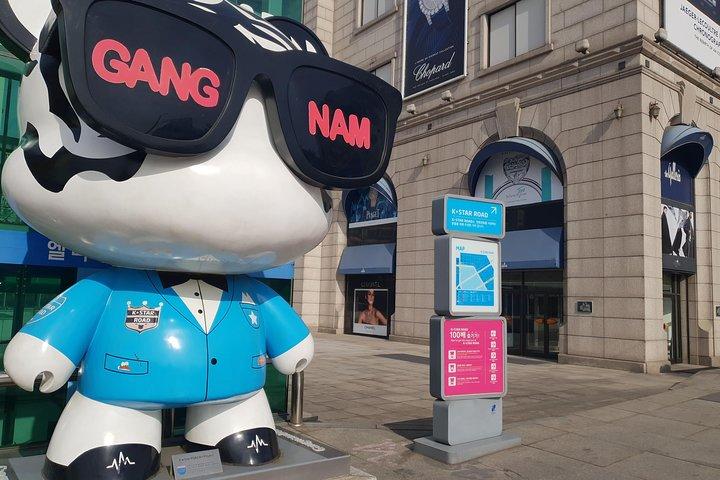 Privat tur: Gangnam Style Tour