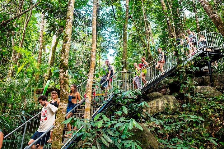Divertimento, cascate e gita di un giorno nella foresta da Cairns