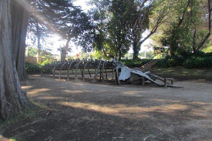 Visite de l'embouchure de la rivière Biobío