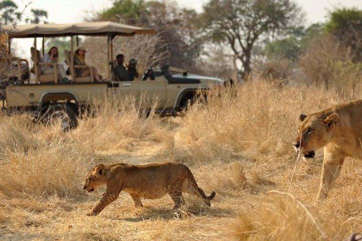 5 Days 4 Night In Ruaha And Udzungwa Mountain National Park