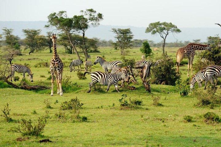 7 dage 6 nat i det sydlige af Tanzania