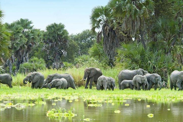 7 dage 6 nat i det sydlige af Tanzania