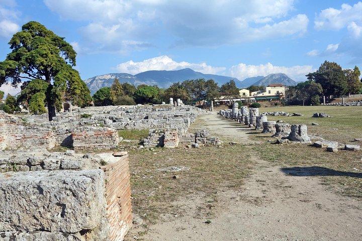 Paestum and Mozzarella Farm experience