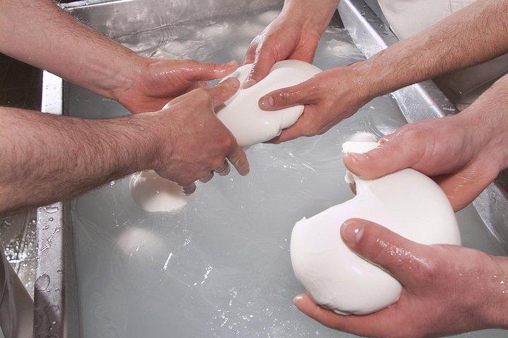 Paestum and Mozzarella Farm experience