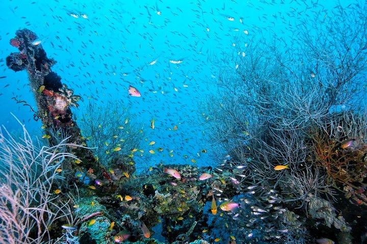 PADI Open Water - Bangcoc