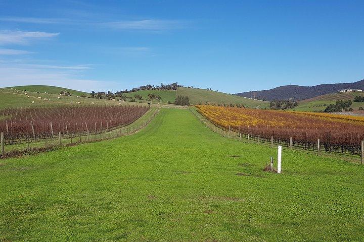 Customised Private, Luxury and Yarra Valley Wine Tour
