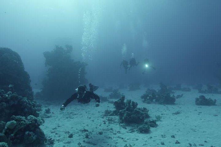 Rødehavs Snorkling