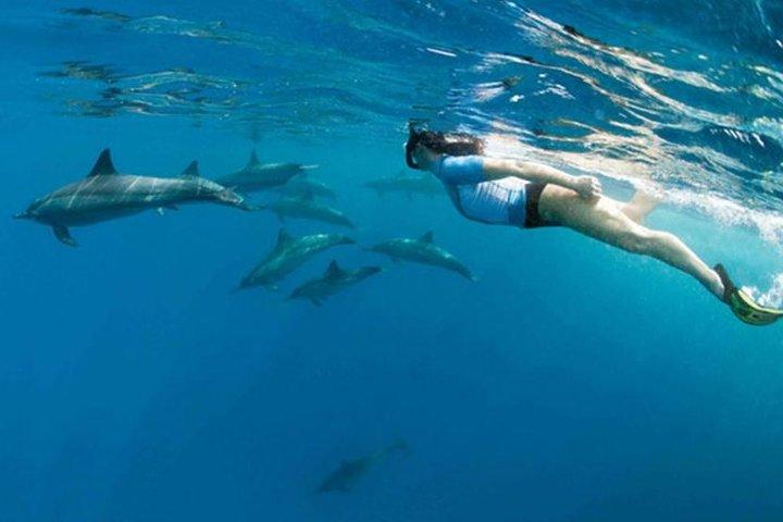Dolphin House und Banana Boat Fun aus Hurghada