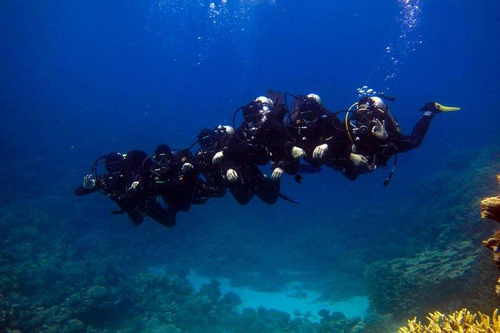 Rødehavs Snorkling