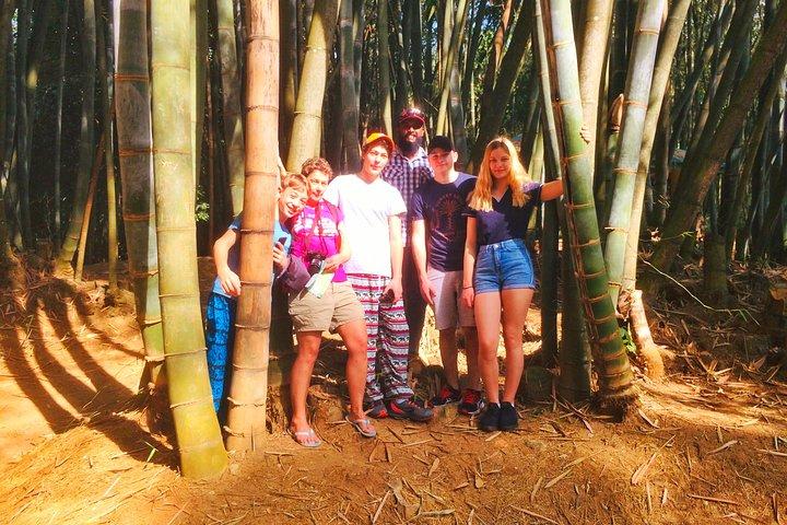 03 jours - Explorez le Sri Lanka