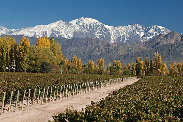 Mendoza : aventure Aconcagua dans les Andes