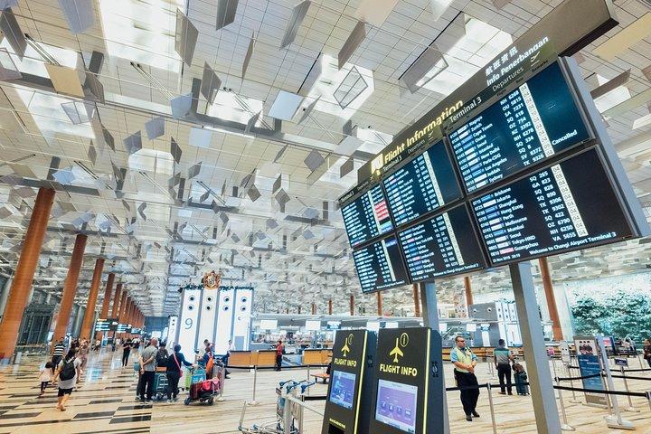 Transporte privado de chegada: Aeroporto Internacional de Narita para Tóquio Disney