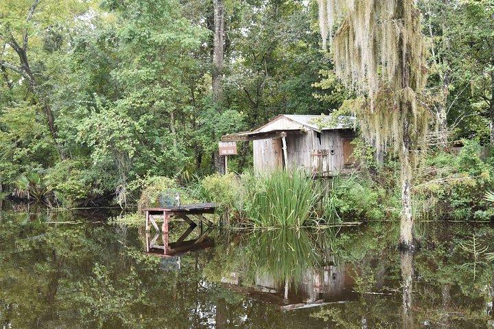 Jean Lafitte 90-minuters träsk- och Bayou-båttur