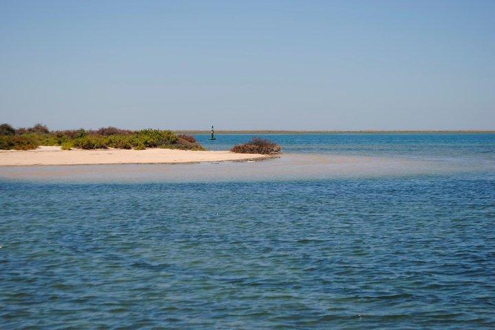 Paseo en barco para descubrir la laguna de la Ría Formosa del Algarve desde Faro: 1 hora