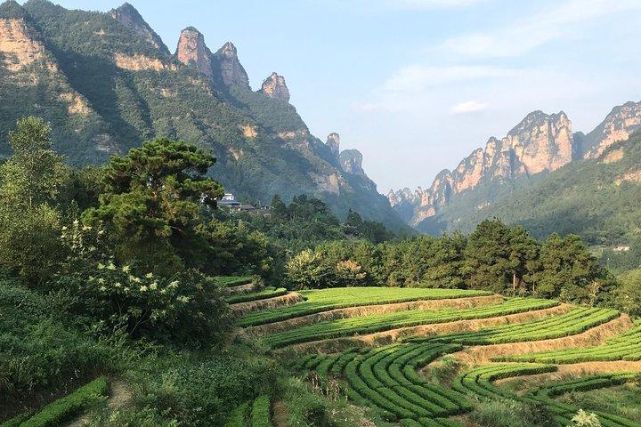 4 Tage Zhangjiajie Classic Tour & Aktivitäten (5-Sterne-Hotel)