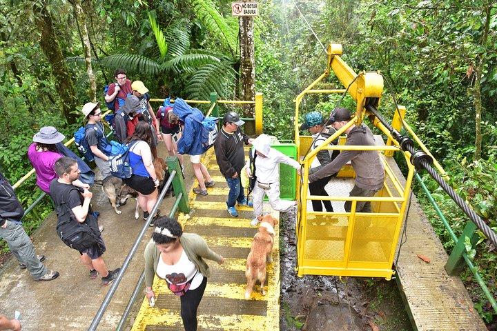 Mindo: Bird watching, Chocolate, Waterfall and Adventure