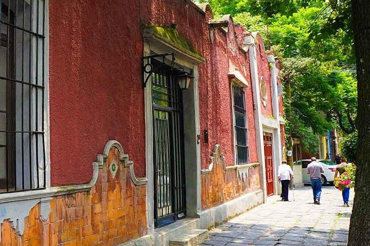 Privat tur for at besøge Coyoacan og Frida Kahlo Museum