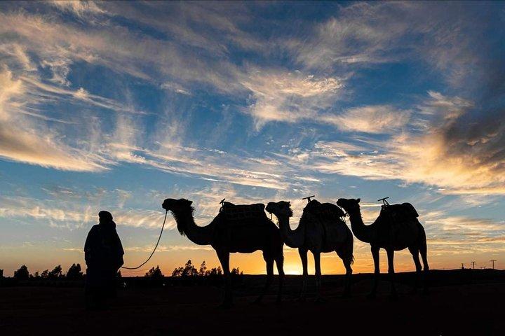 Agadir Camel Riding + Tramonto e Cena (barbecue)
