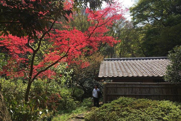 Kamakura & Enoshima Küstentour nach Maß