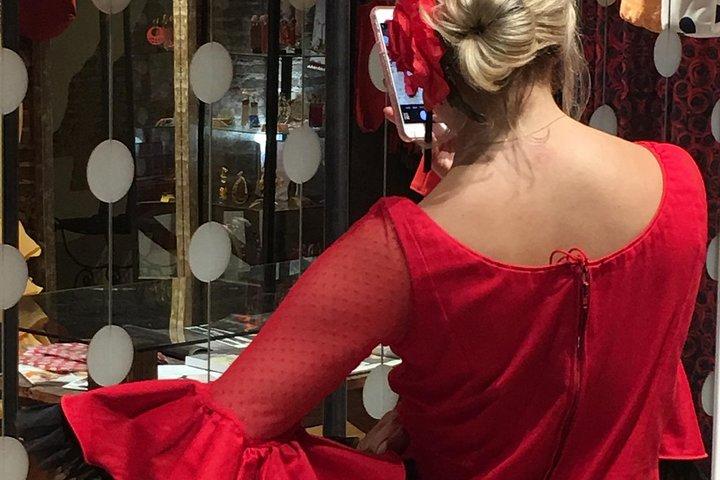 Flamenca fotografering