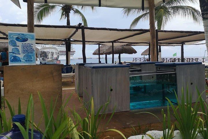Fish Spa, Beach Break com espreguiçadeiras, guarda-sóis e área de praia