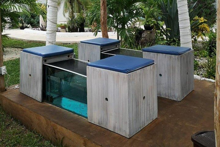 Fish Spa, Beach Break com espreguiçadeiras, guarda-sóis e área de praia